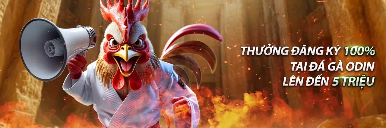 Đá Gà Trực Tuyến S666 Đăng Ký 2026