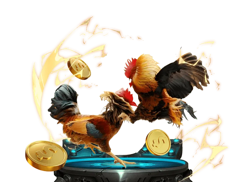 Hoàn trả hàng ngày S666